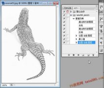 学习Photoshop动作安装方法